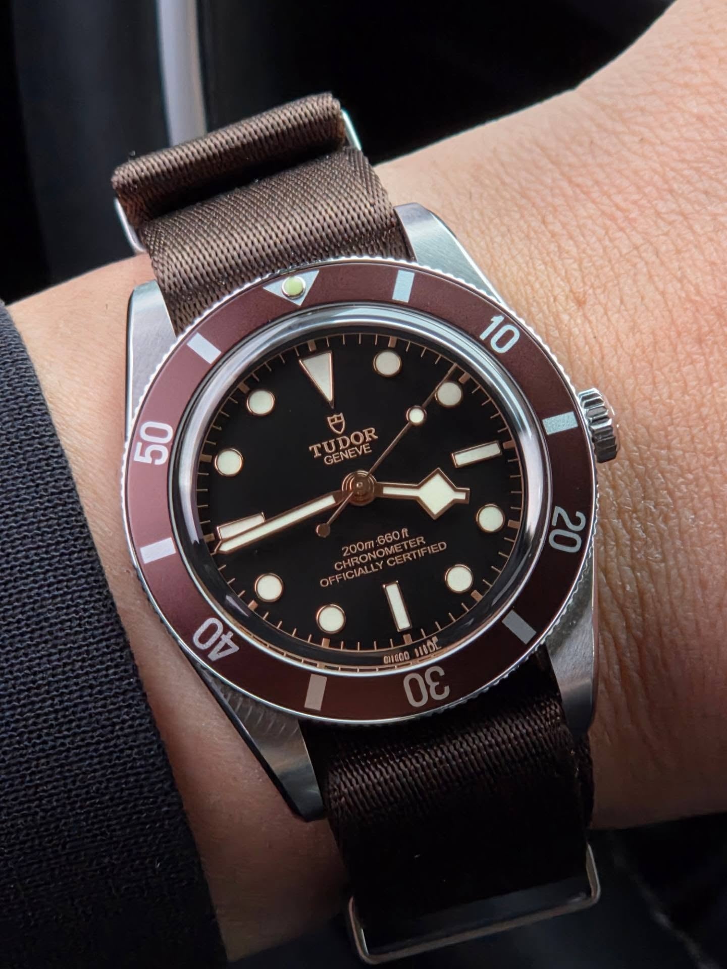 Tudor Black Bay watch with taupe strap on a wrist